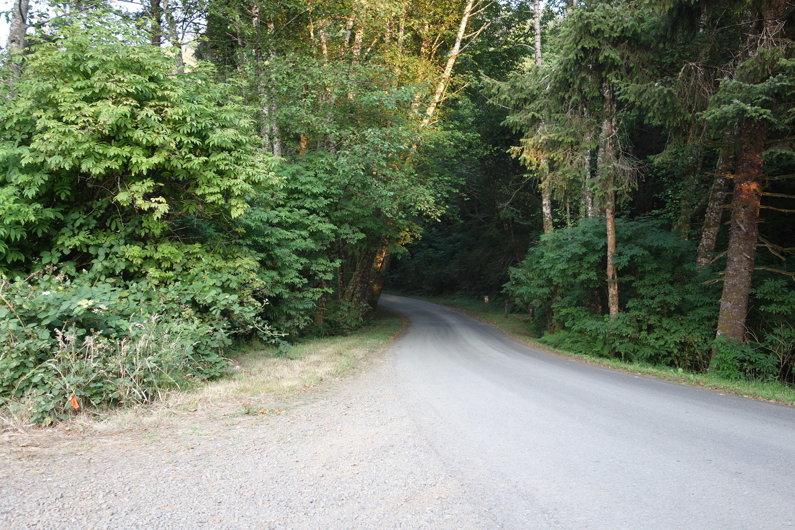3501 South Beach Road Neskowin, OR 97149 - Photo 16 of 25 Approach
