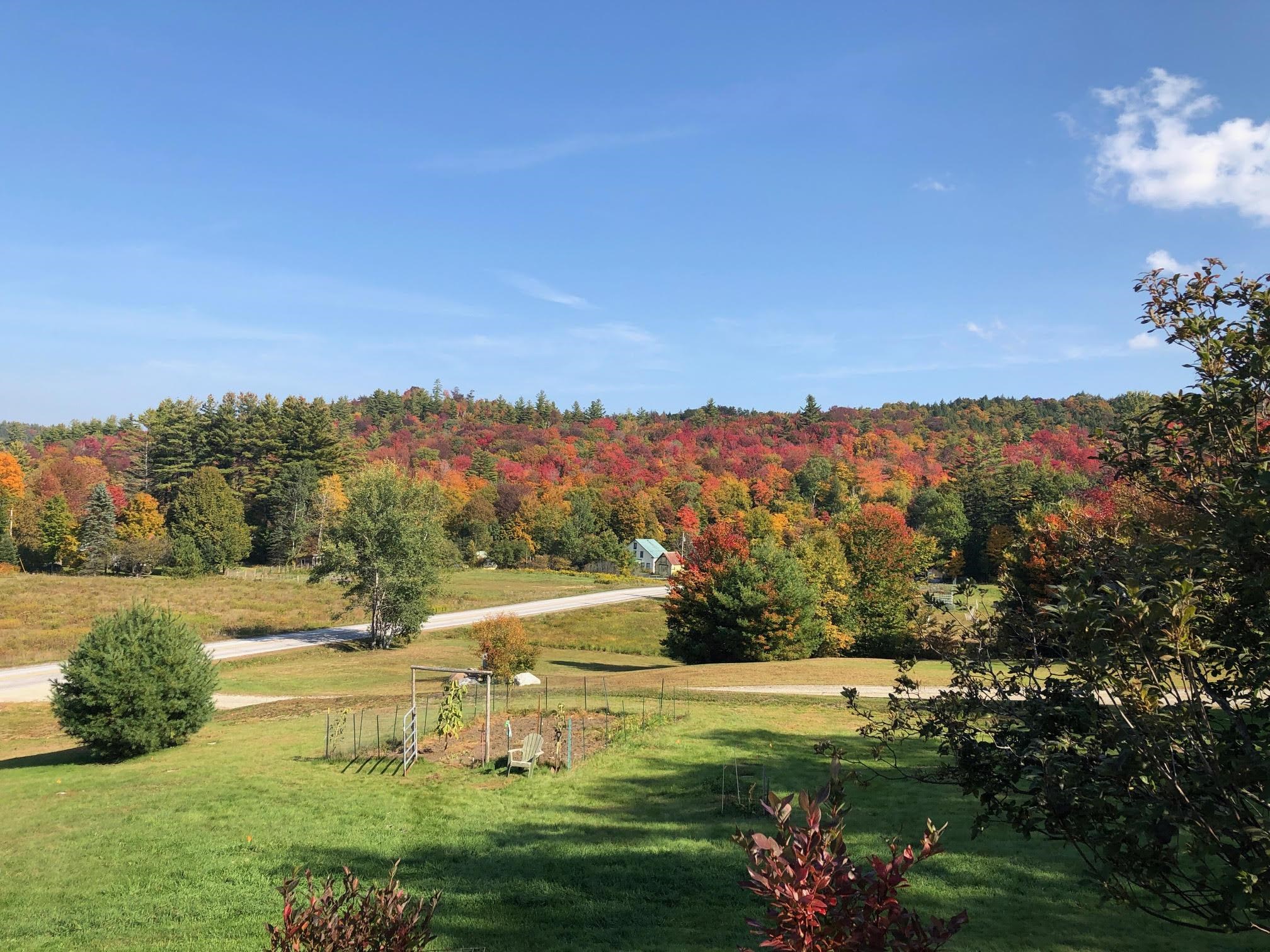 137 Stratton Arlington Road Wardsboro, VT 05360 - Photo 4 of 44