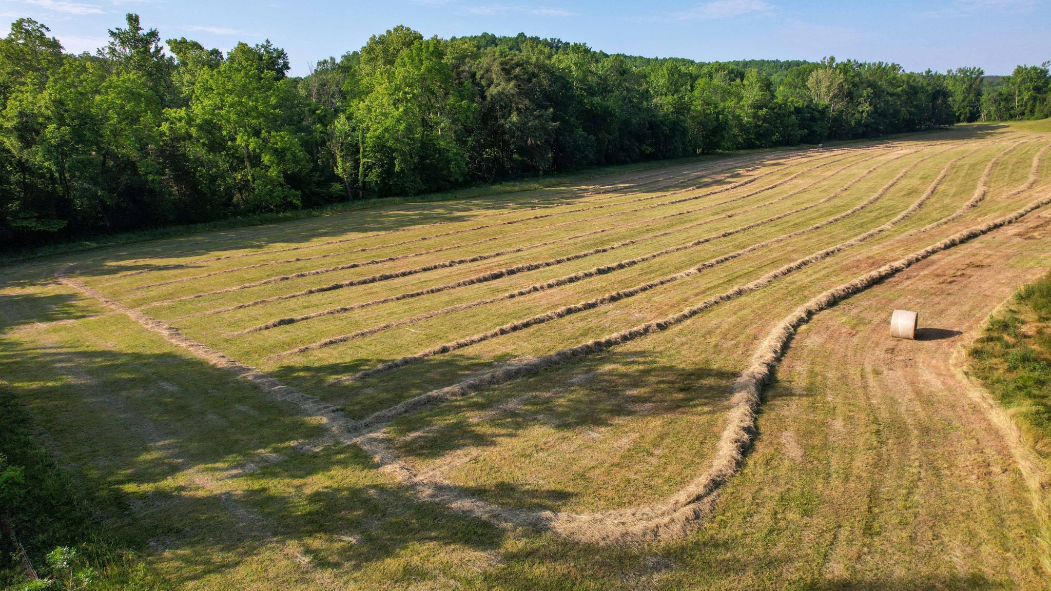 1267 Wades Branch Road Centerville, TN 37033 - Photo 56 of 73