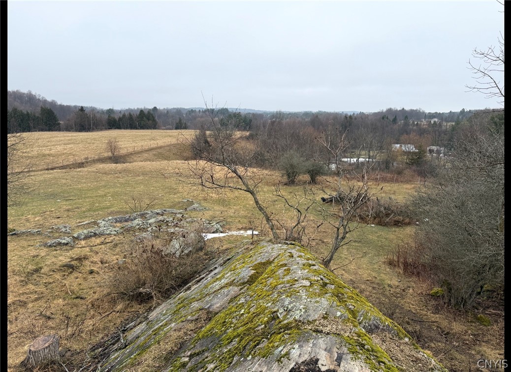 278 Country Club Road Fowler, NY 13642 - Photo 13 of 50
