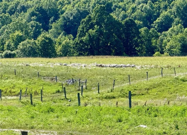 $699,900 | 278 Country Club Road, Fowler, NY 13642