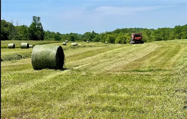 $699,900 | 278 Country Club Road, Fowler, NY 13642