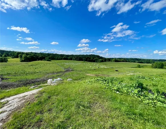 $699,900 | 278 Country Club Road, Fowler, NY 13642