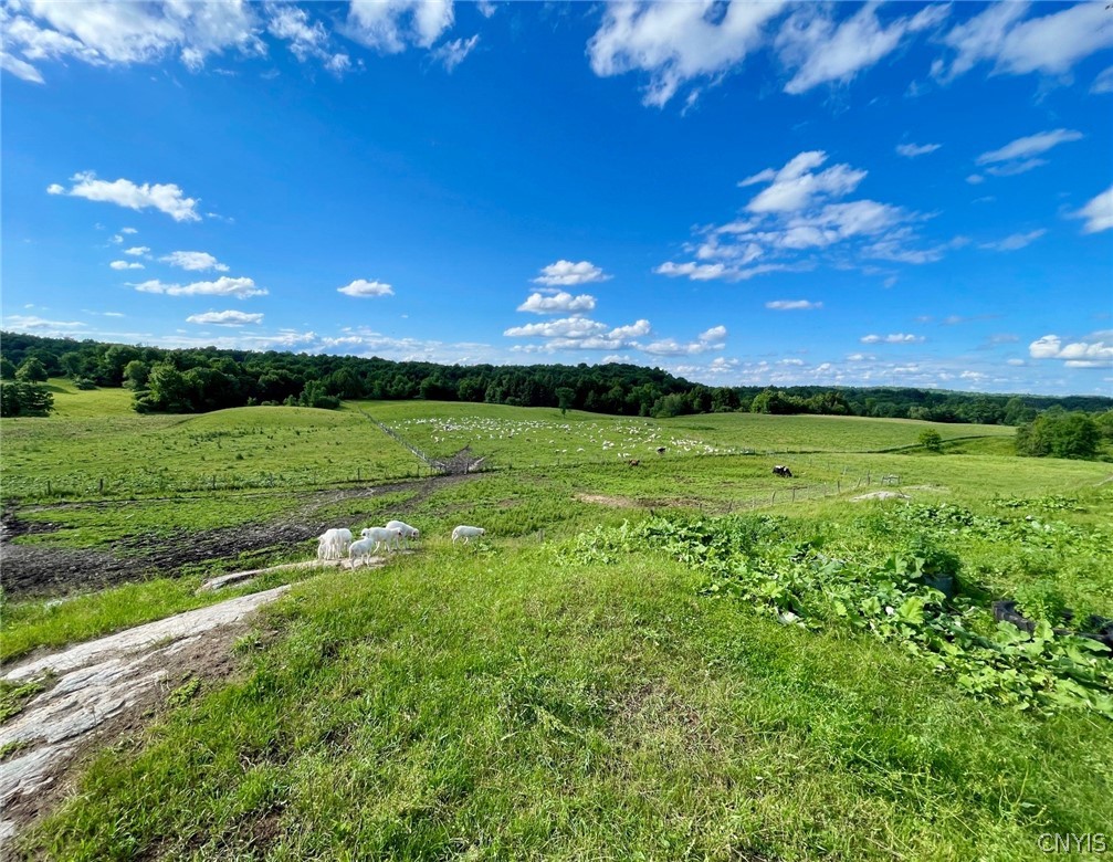 278 Country Club Road Fowler, NY 13642 - Photo 9 of 50