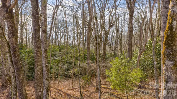 a view of outdoor space with trees