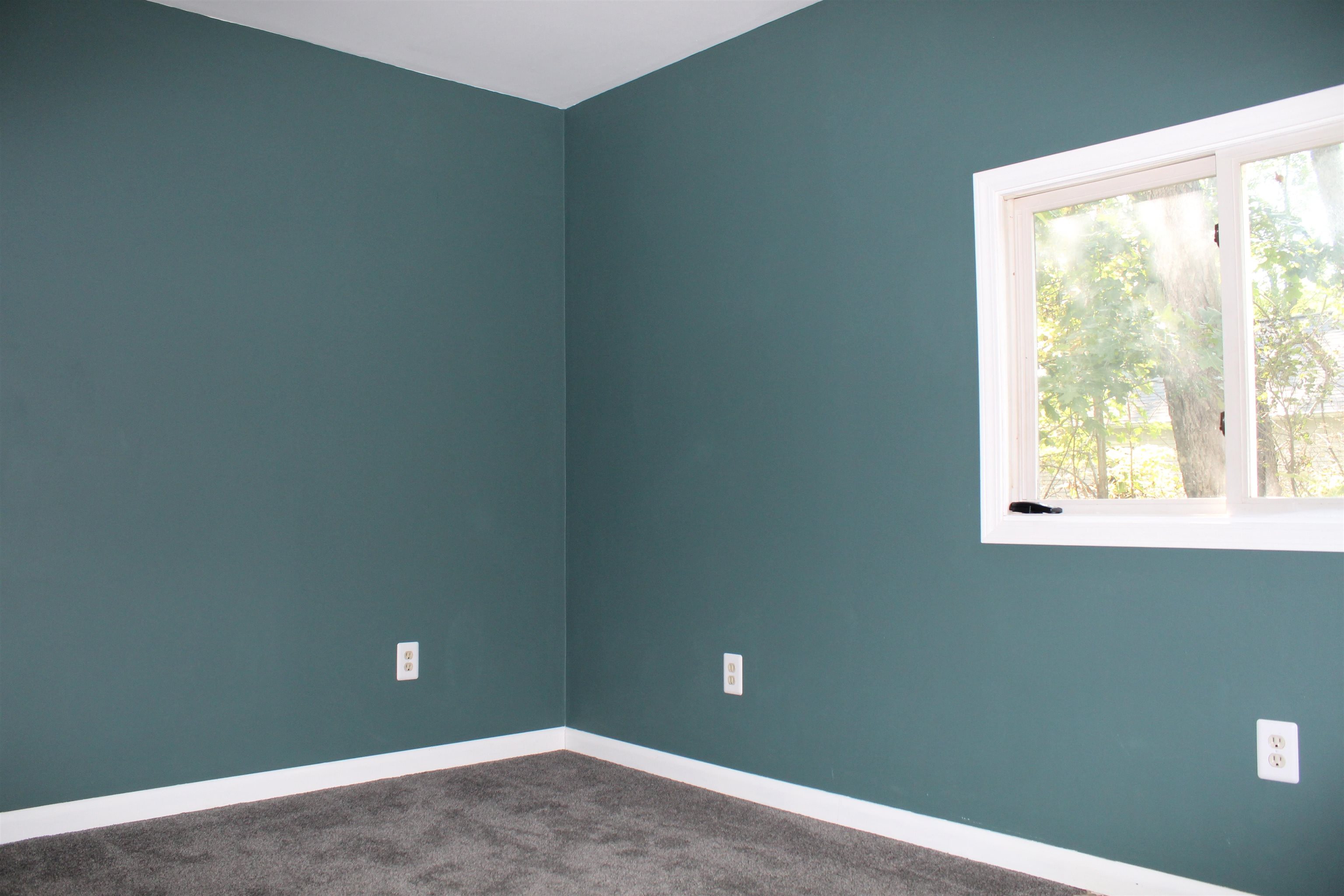 2432 Norton Road Howell, MI 48843 - Photo 19 of 52 50153986-e69cd65b-61bb-4074-9515-2027626728ec.JPG