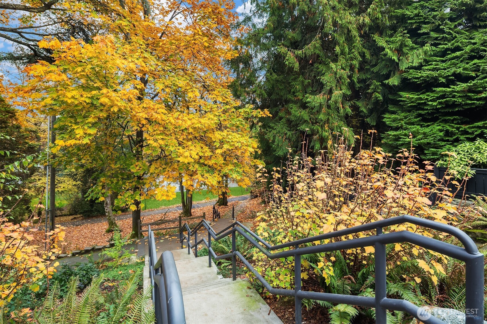 2540 34th Avenue South Seattle, WA 98144 - Photo 11 of 20 a view of a yard