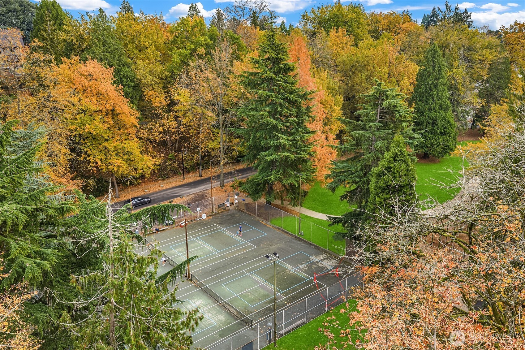 2540 34th Avenue South Seattle, WA 98144 - Photo 14 of 20 a view of an outdoor space and a yard