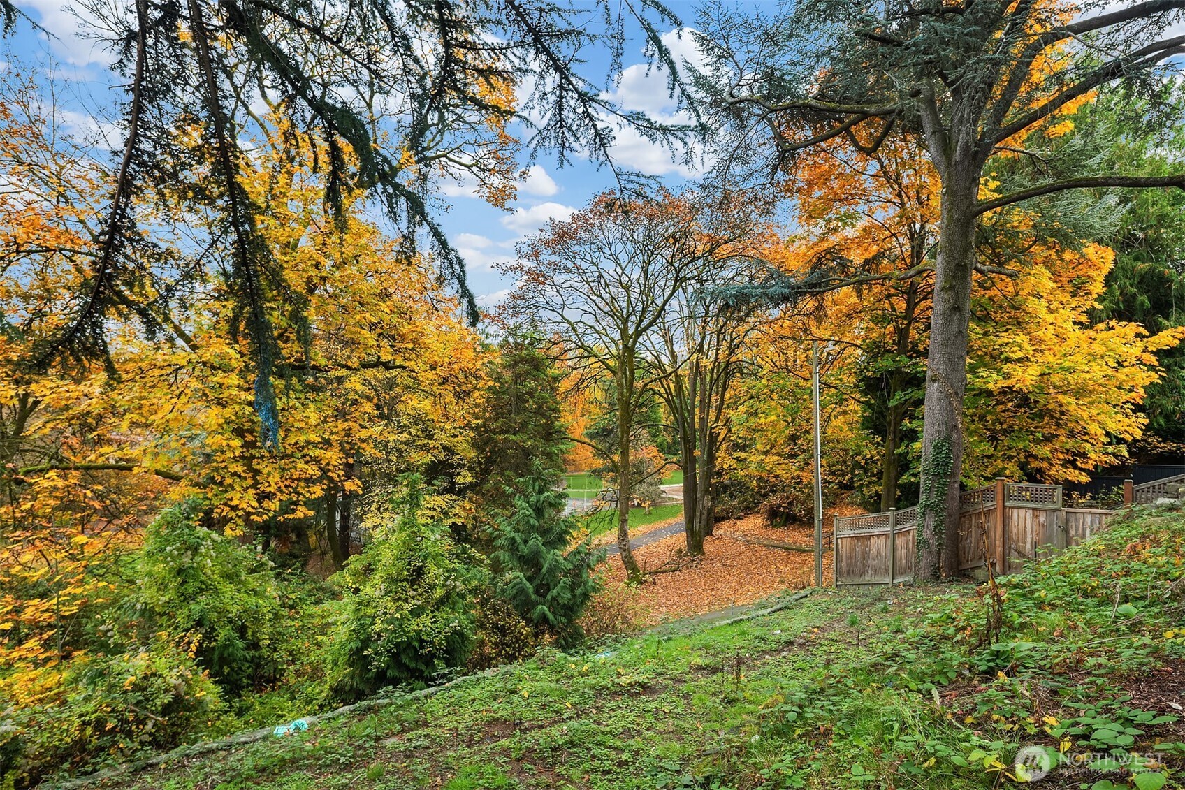 2540 34th Avenue South Seattle, WA 98144 - Photo 7 of 20 a view of outdoor space and yard