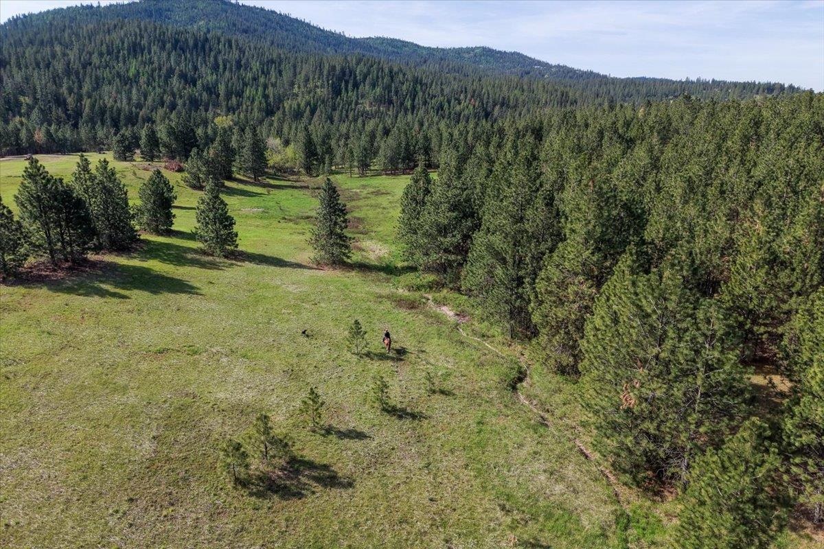 Tbd East Belmont Road Mica, WA 99023 - Photo 20 of 27