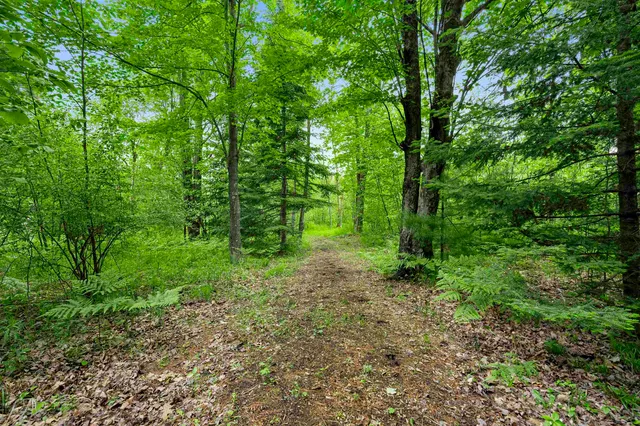 $495,000 | Rector Road, Unit MULTI, Wausaukee, WI 54177