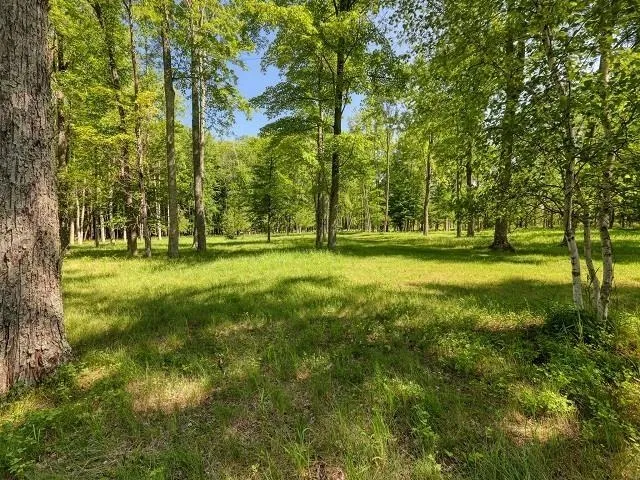 $495,000 | Rector Road, Unit MULTI, Wausaukee, WI 54177