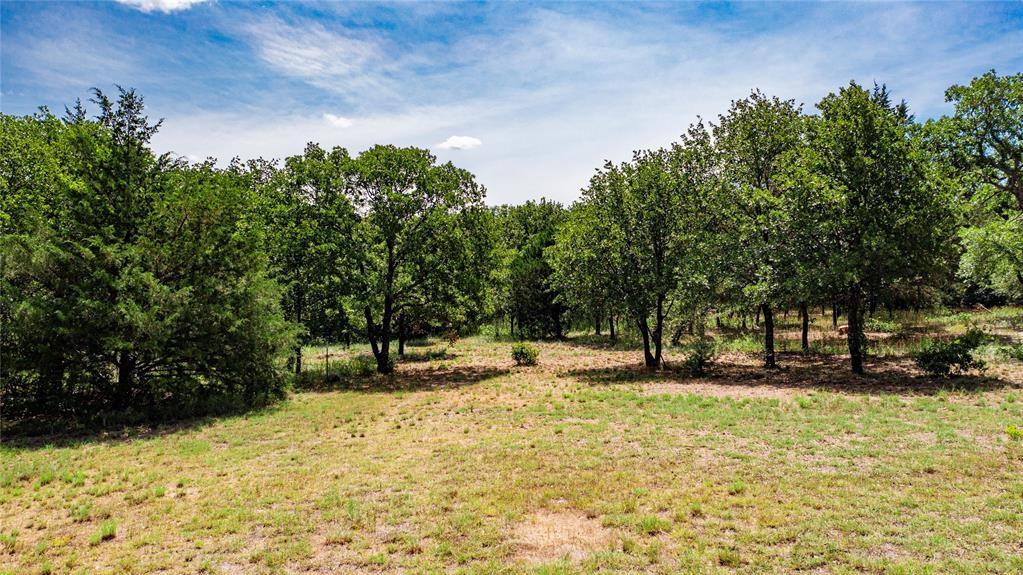 View of the 2-acre lot offering lots of trees and beautiful rolling terrain.