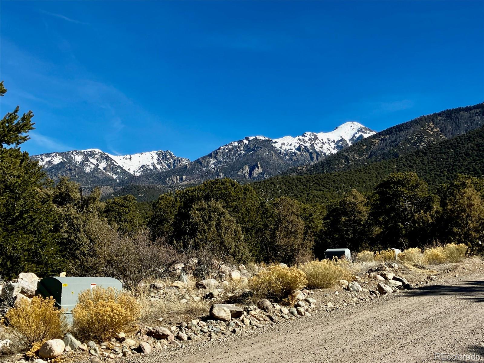 a view of a yard with a tree