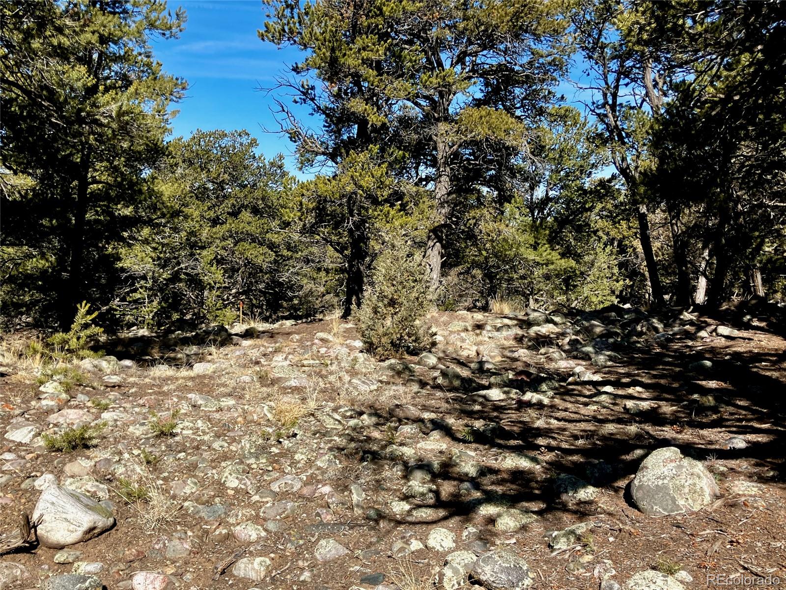 2187 Spanish Creek Road Crestone, CO 81131 - Photo 4 of 10 a view of a tree outside the yard