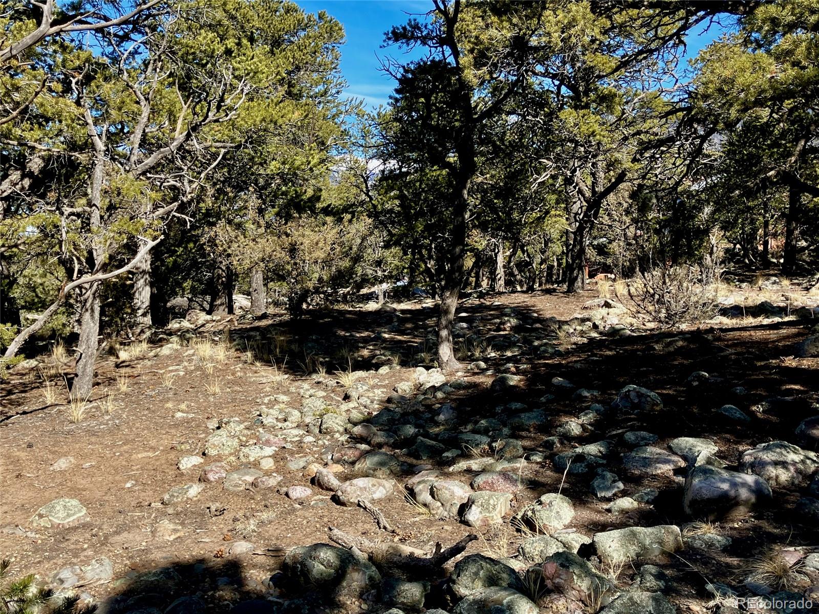 2187 Spanish Creek Road Crestone, CO 81131 - Photo 5 of 10 a view of outdoor space