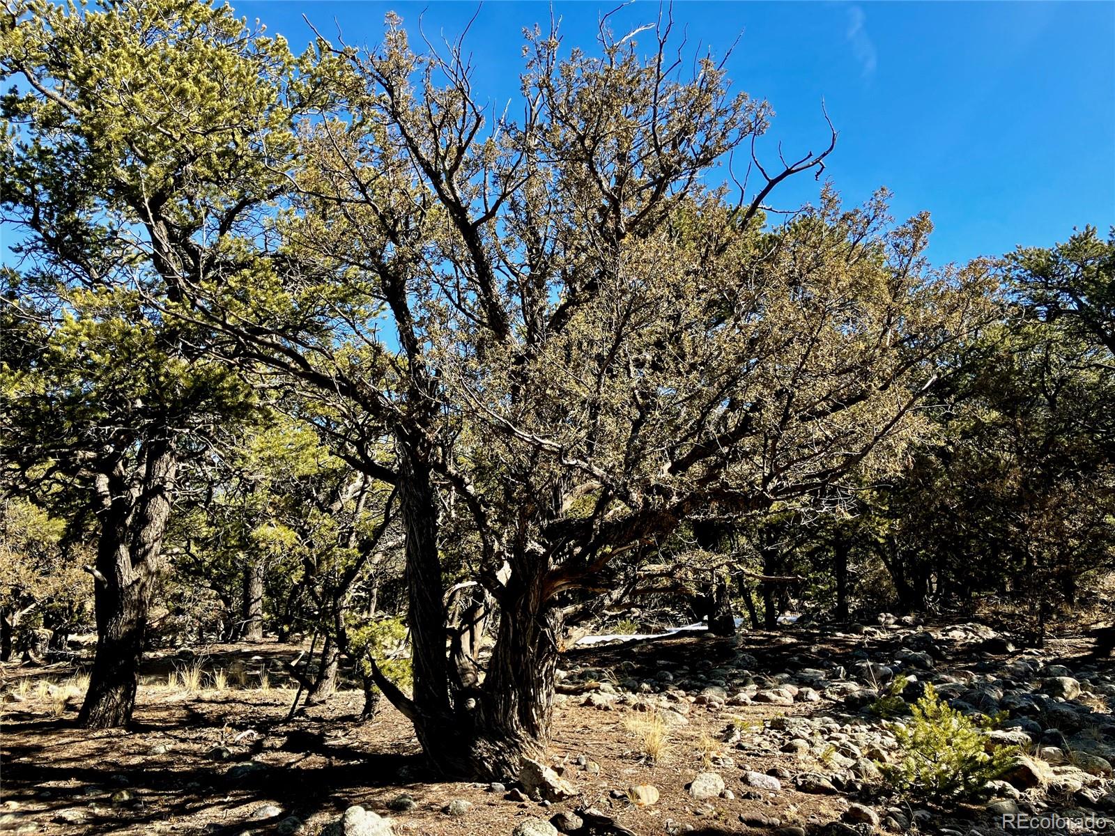 2187 Spanish Creek Road Crestone, CO 81131 - Photo 6 of 10 a view of building