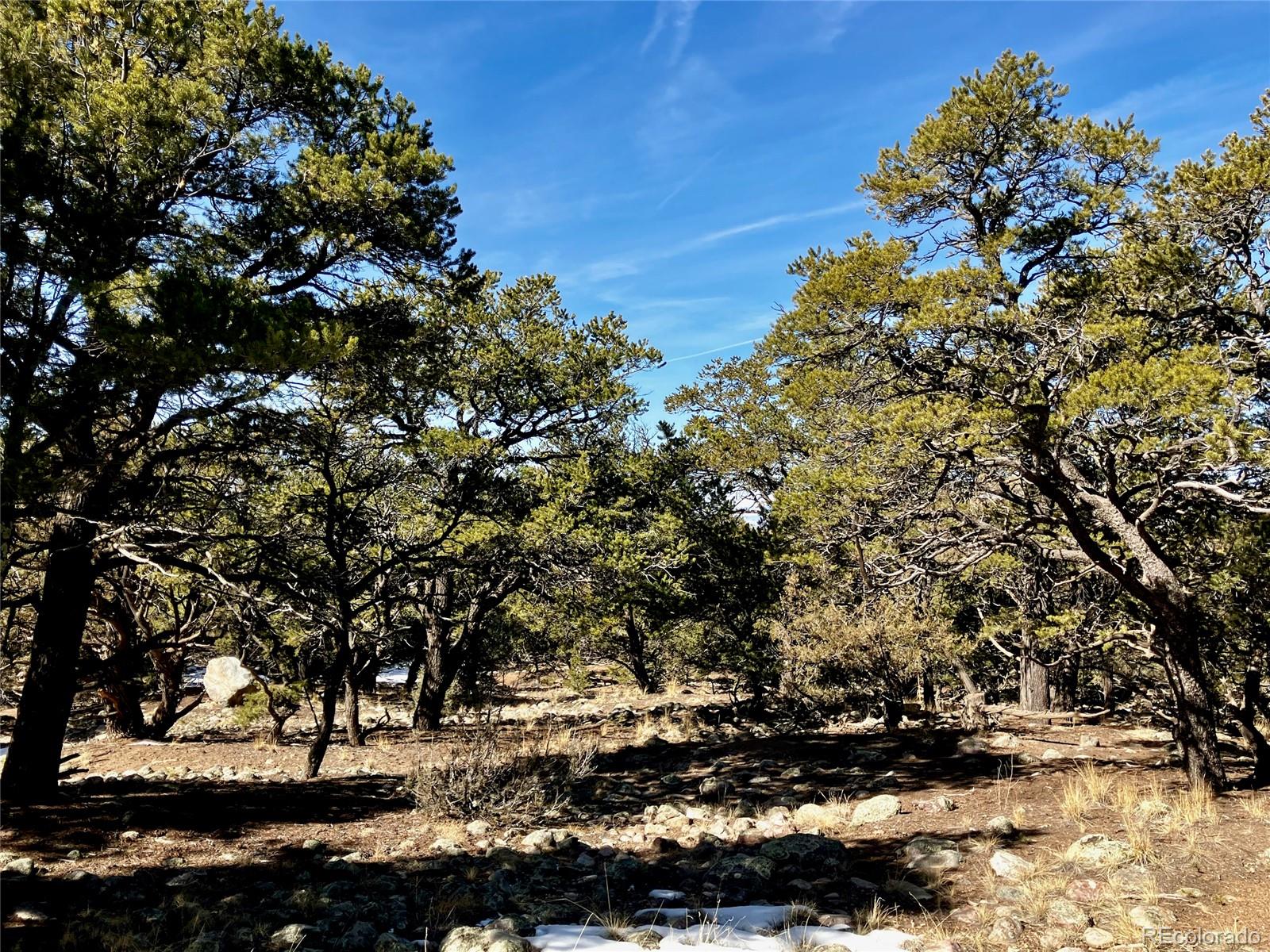 2187 Spanish Creek Road Crestone, CO 81131 - Photo 8 of 10 a view of a tree with a tree