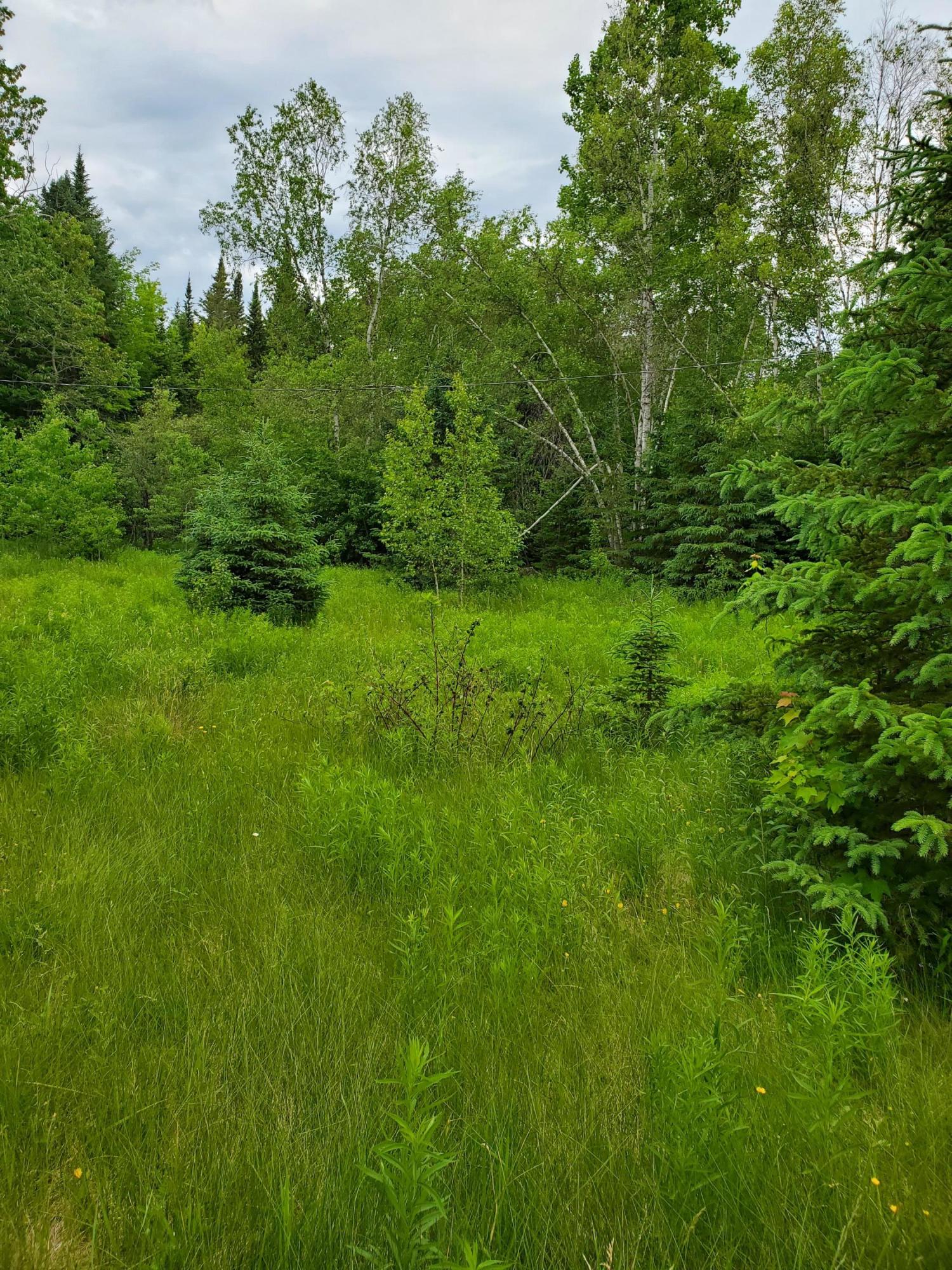 2291 Bancroft Road Wytopitlock, ME 04497 - Photo 4 of 14 20210614_150922