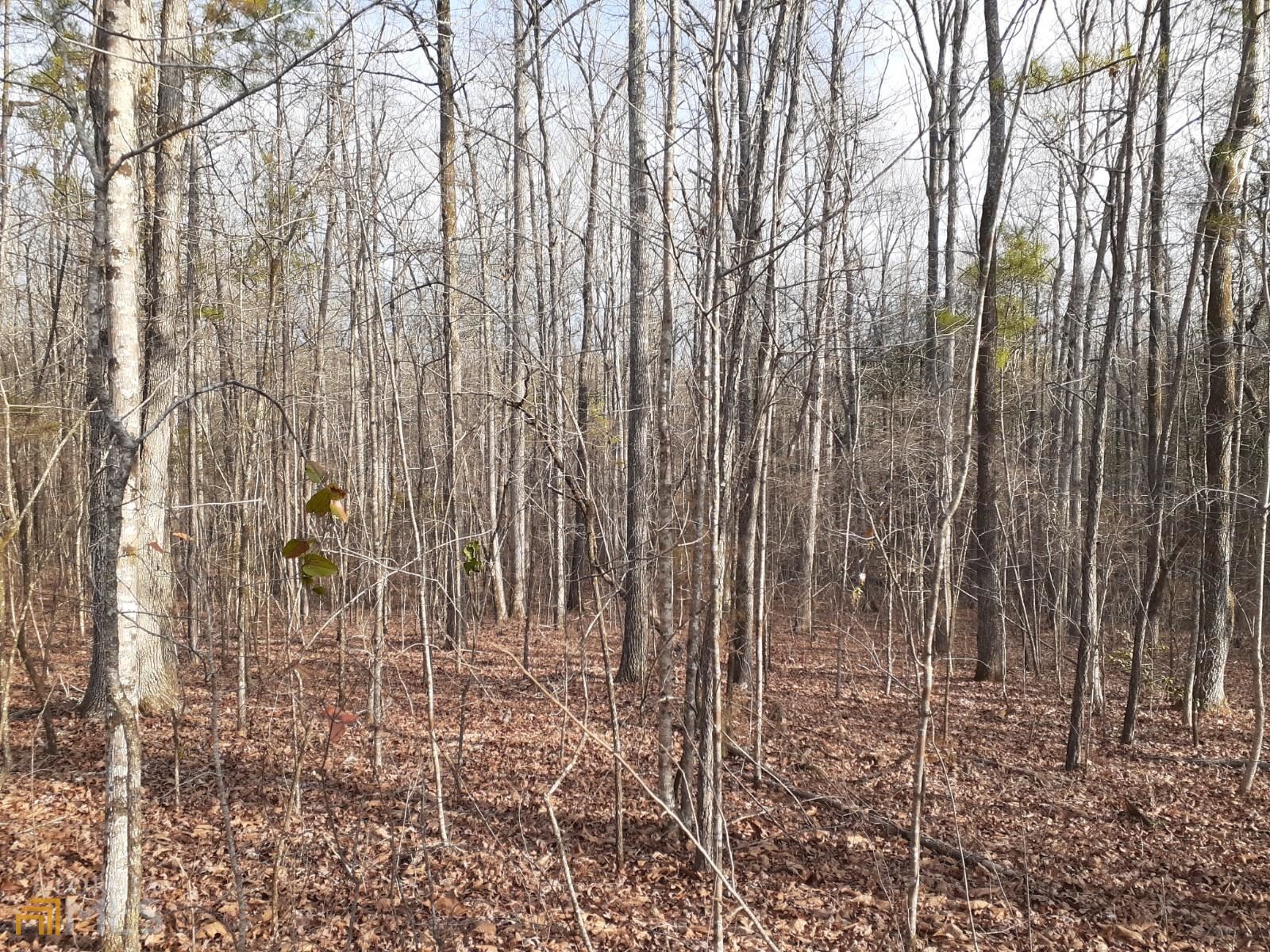 Lot 7 Glover Road Zebulon, GA 30295 - Photo 1 of 1 a view of a yard with lots of green space