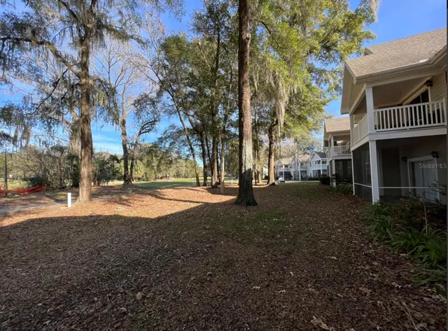 a view of street with large trees