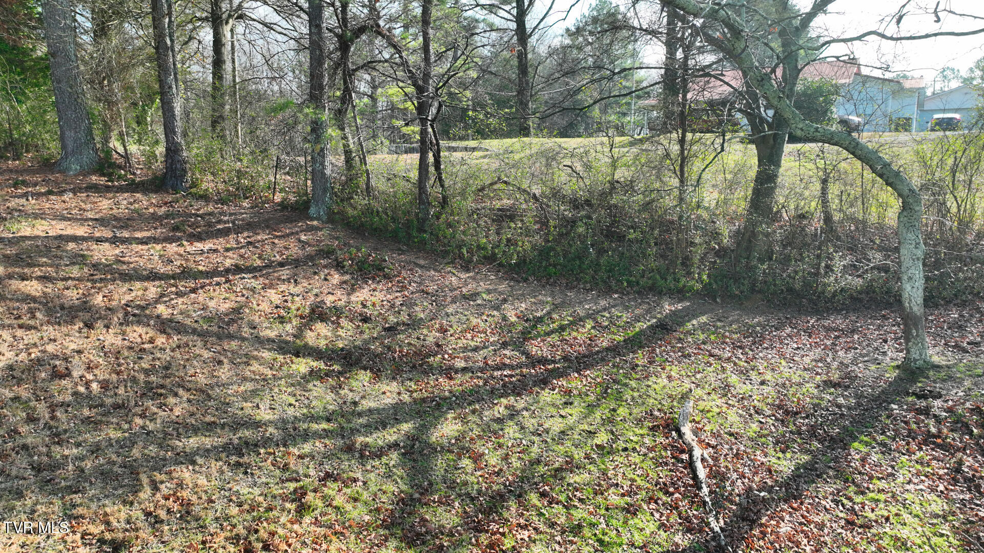 0 Swafford Lane Northwest Charleston, TN 37310 - Photo 23 of 27 DJI_0971