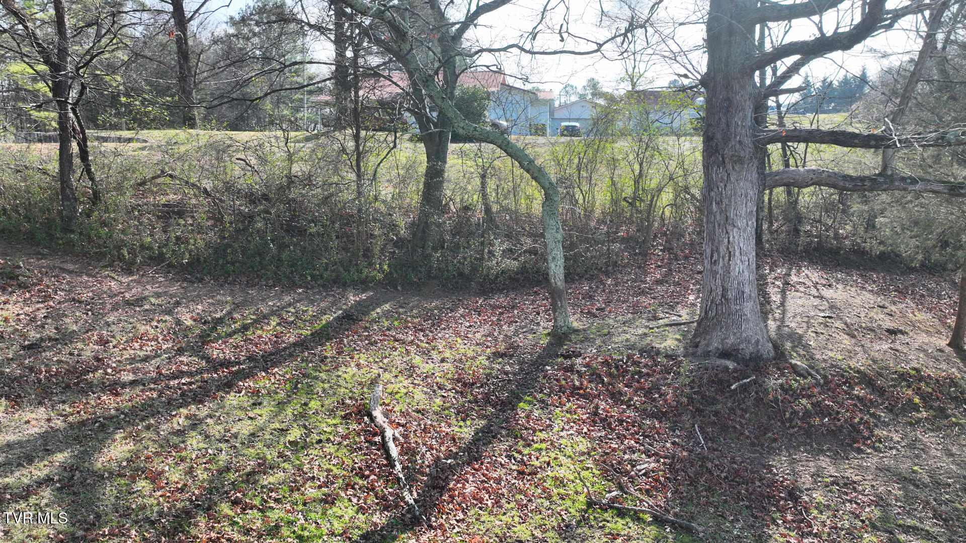 0 Swafford Lane Northwest Charleston, TN 37310 - Photo 24 of 27 DJI_0972