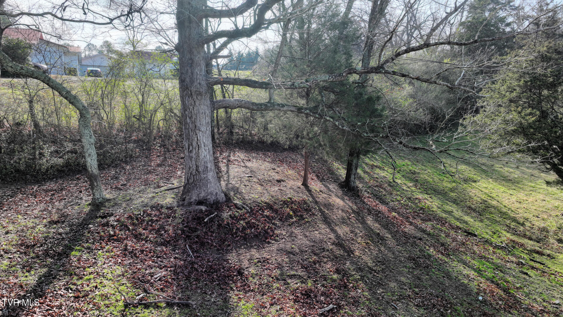 0 Swafford Lane Northwest Charleston, TN 37310 - Photo 25 of 27 DJI_0973