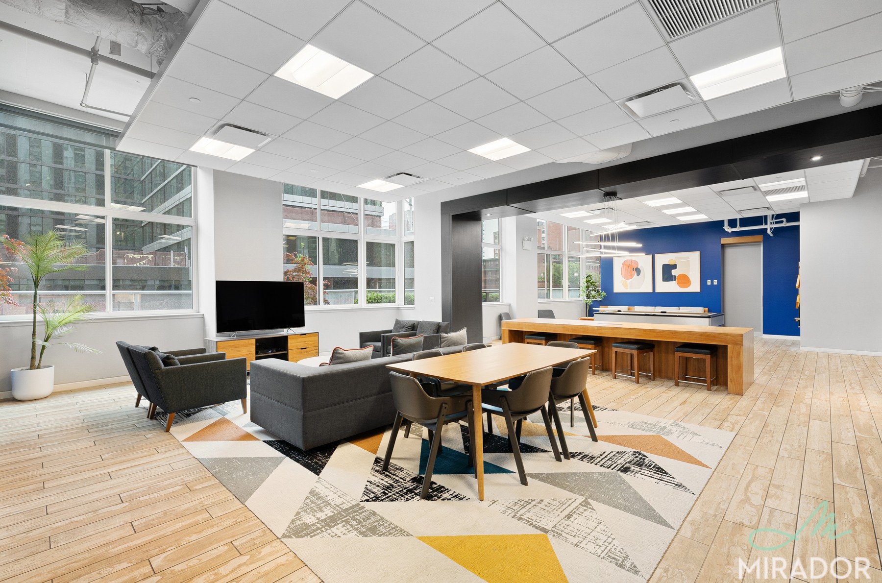 80 Dekalb Avenue, Unit 27L Brooklyn, NY 11201 - Photo 16 of 22 Photo 16