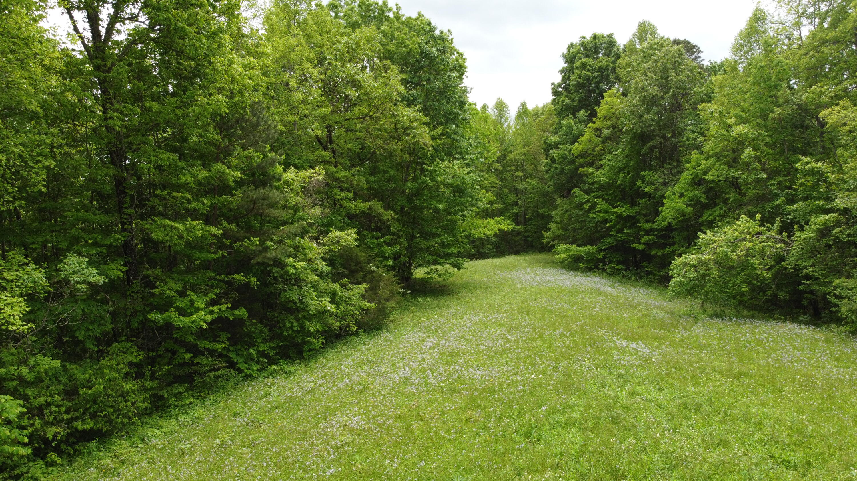 0 Van Hollow Road McKee, KY 40447 - Photo 6 of 11 DJI_0551