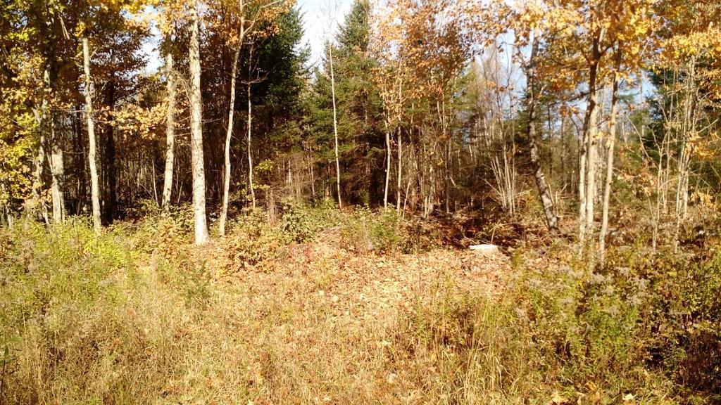 Lot 6 Tar Ridge Road Springfield, ME 04487 - Photo 1 of 4 Photo