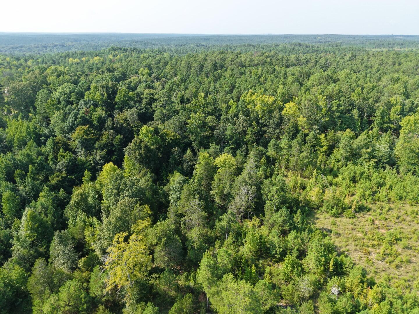 3096 State Rd S-20-33, Unit 2 Blair, SC 29015 - Photo 11 of 32 DJI_20260811171116_0271_D (Large)