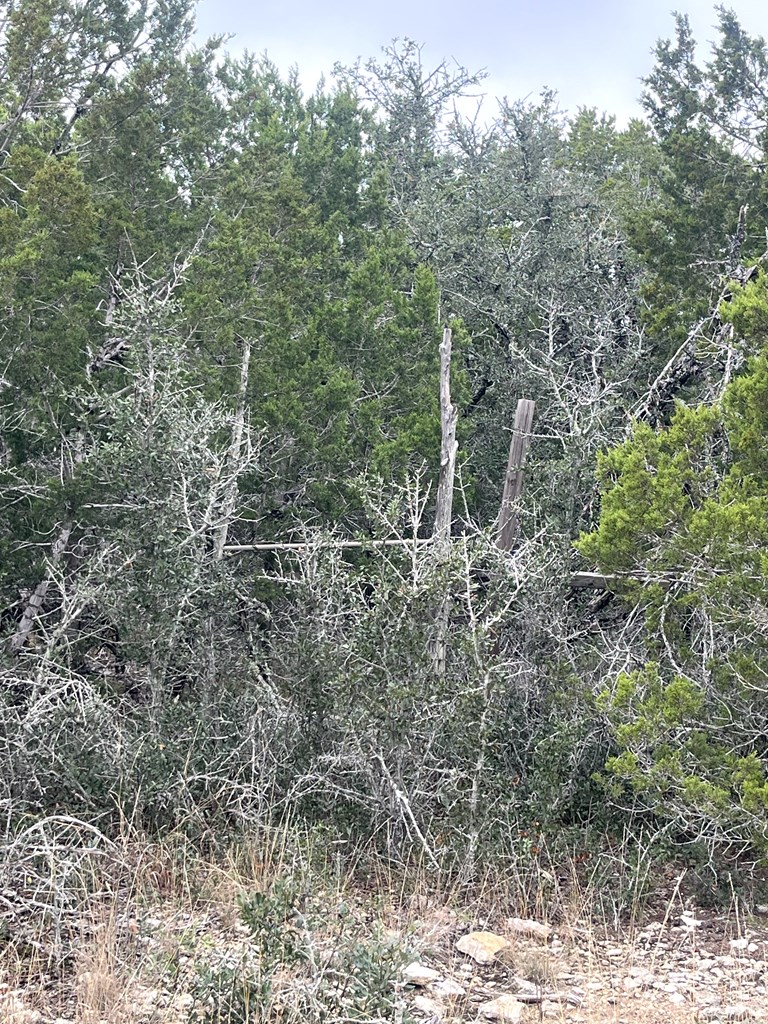 1029 Fairview Road Rocksprings, TX 78880 - Photo 11 of 44