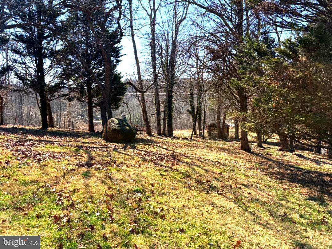 2615 Whitt Road Kingsville, MD 21087 - Photo 12 of 40 mature yard