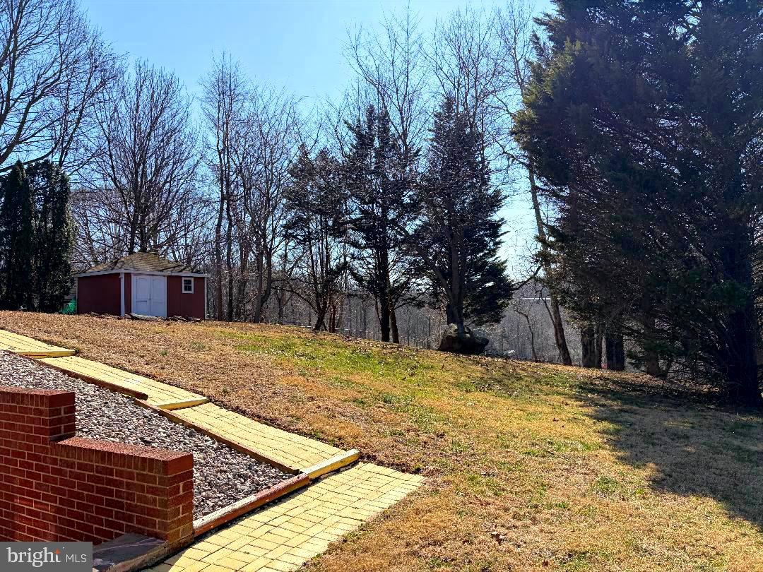 2615 Whitt Road Kingsville, MD 21087 - Photo 13 of 45 a view of yard with trees