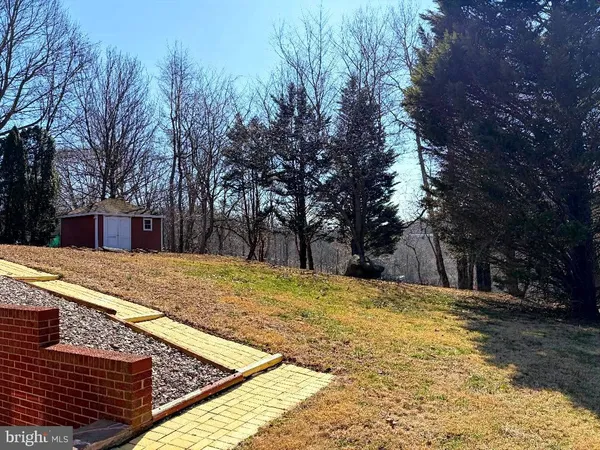 a view of yard with trees