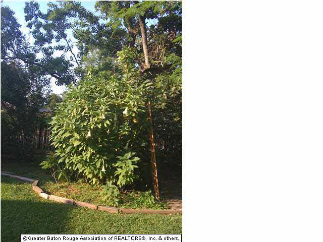 1388 Stuart Avenue Baton Rouge, LA 70808 - Photo 7 of 21 Gallery Image 7