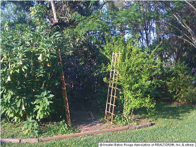 1388 Stuart Avenue Baton Rouge, LA 70808 - Photo 9 of 21 Gallery Image 9