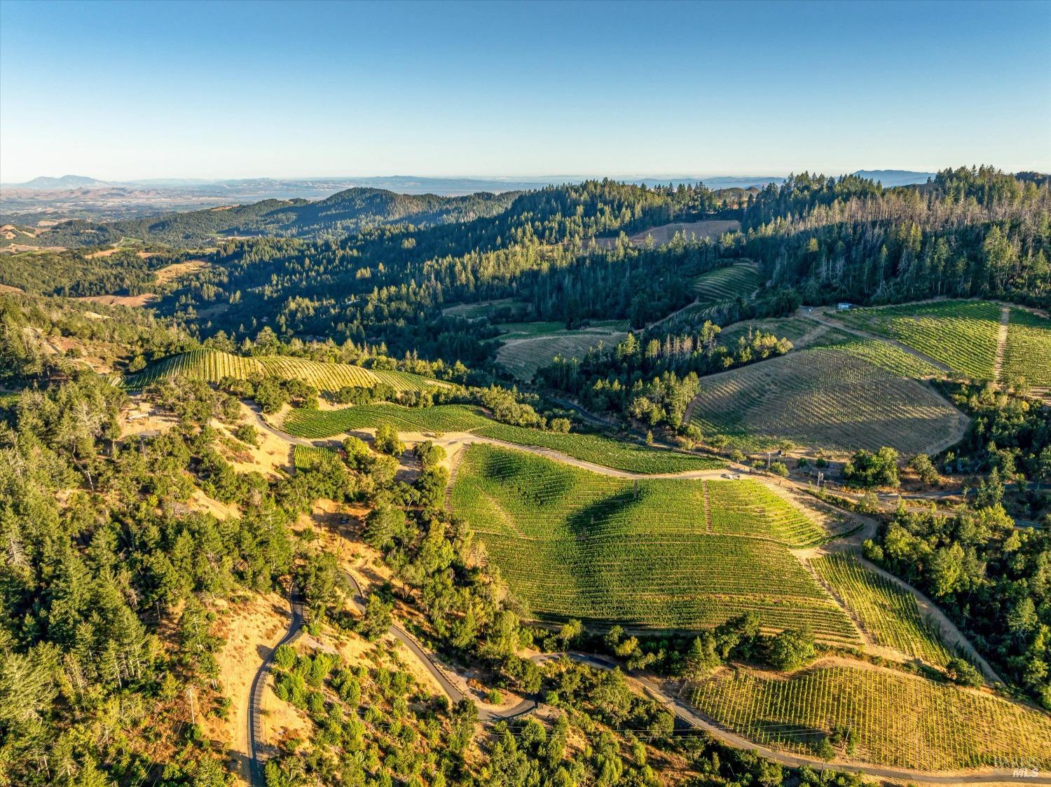 2340 Mt Veeder Road Napa, CA 94558 - Photo 3 of 38