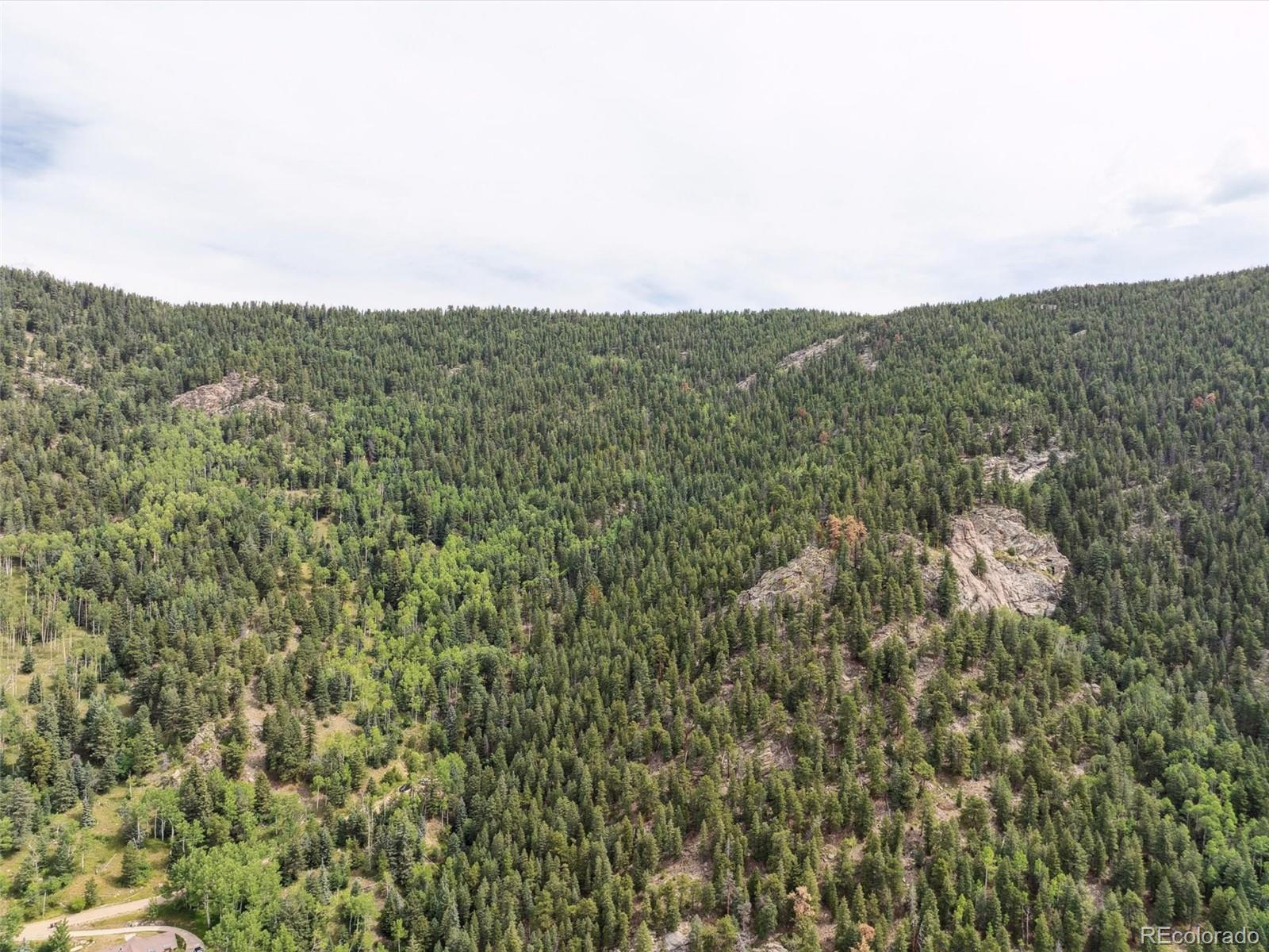 0 Snyder Mountain Road Evergreen, CO 80439 - Photo 23 of 46 a view of a green field