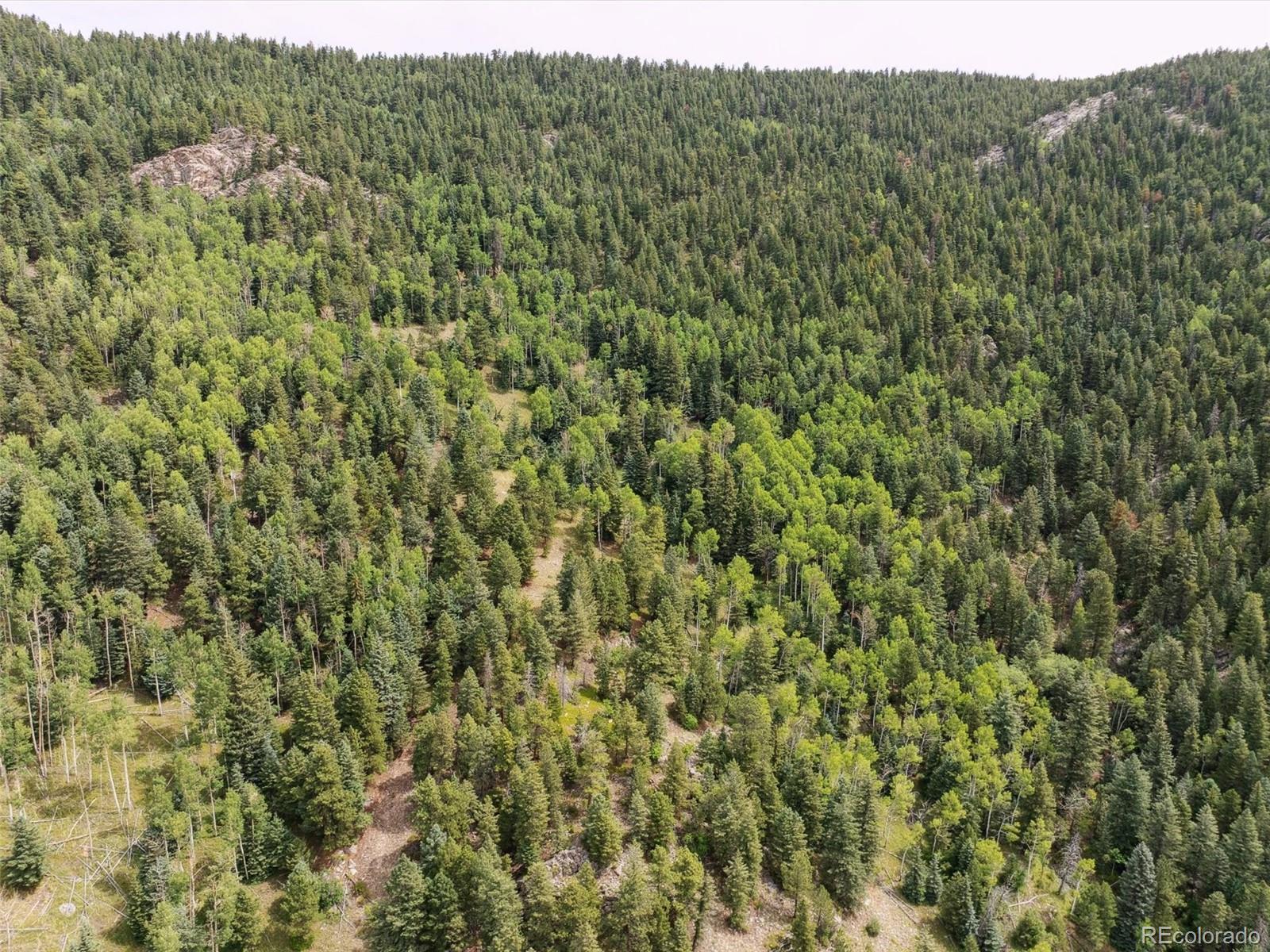 0 Snyder Mountain Road Evergreen, CO 80439 - Photo 26 of 46 a view of a forest with a street