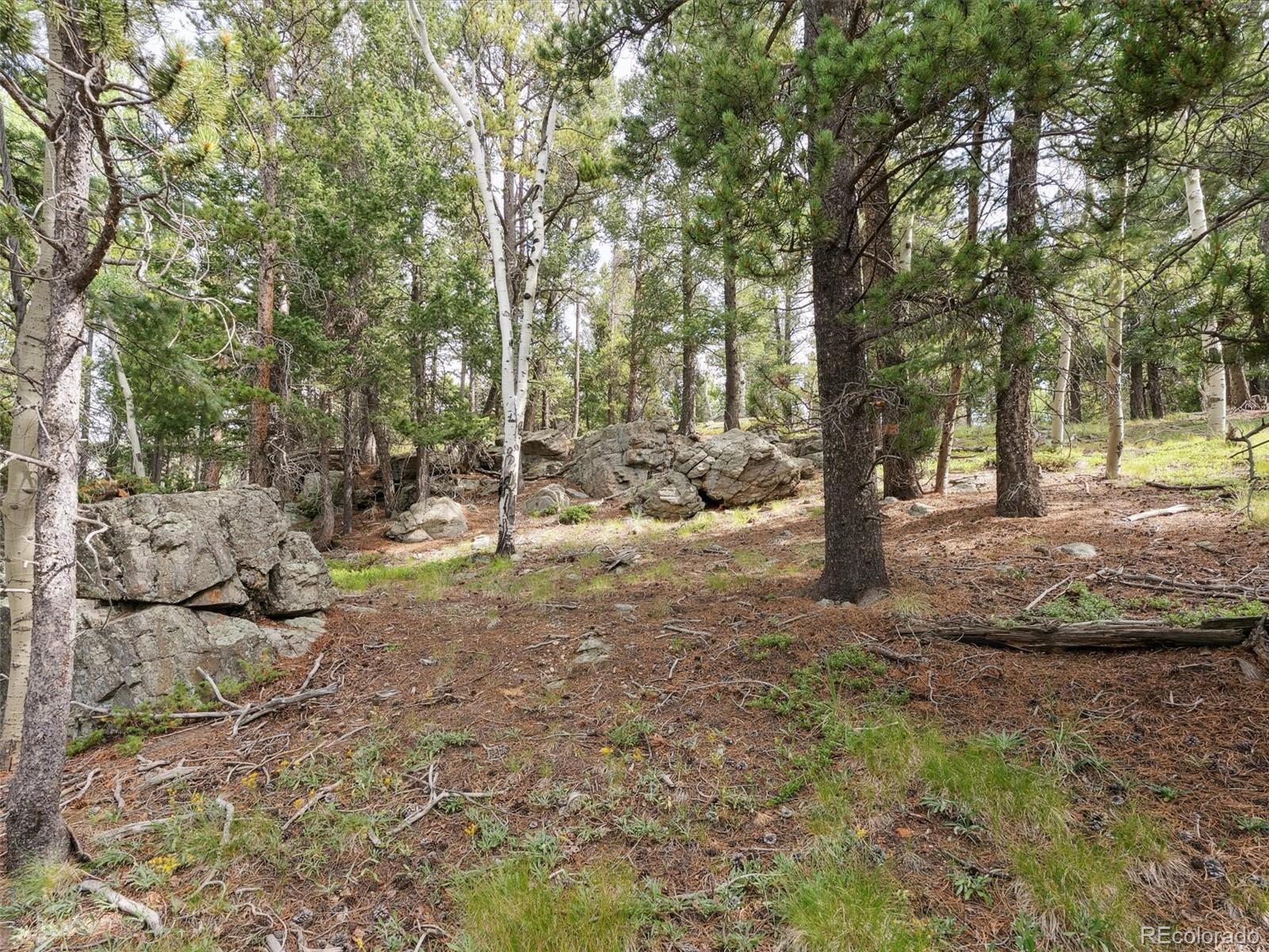 0 Snyder Mountain Road Evergreen, CO 80439 - Photo 39 of 46 a view of a tree in the middle of a yard