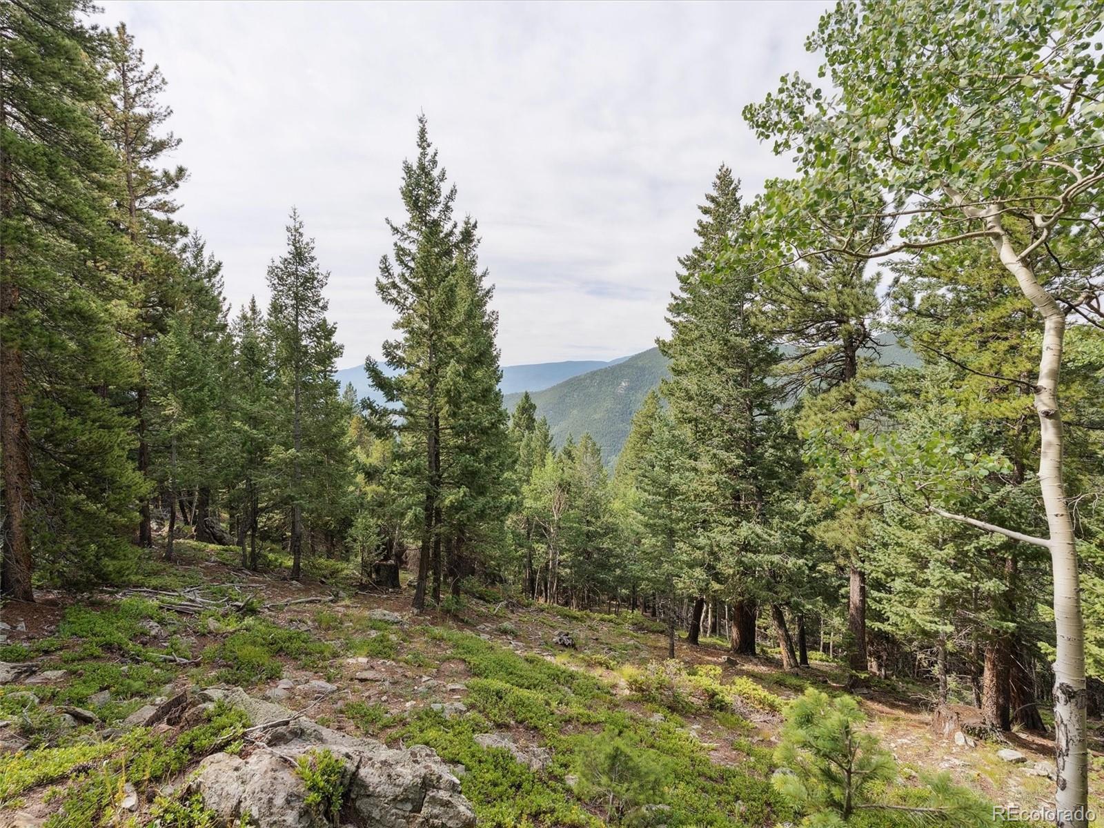 0 Snyder Mountain Road Evergreen, CO 80439 - Photo 40 of 46 a view of a forest with trees in the background