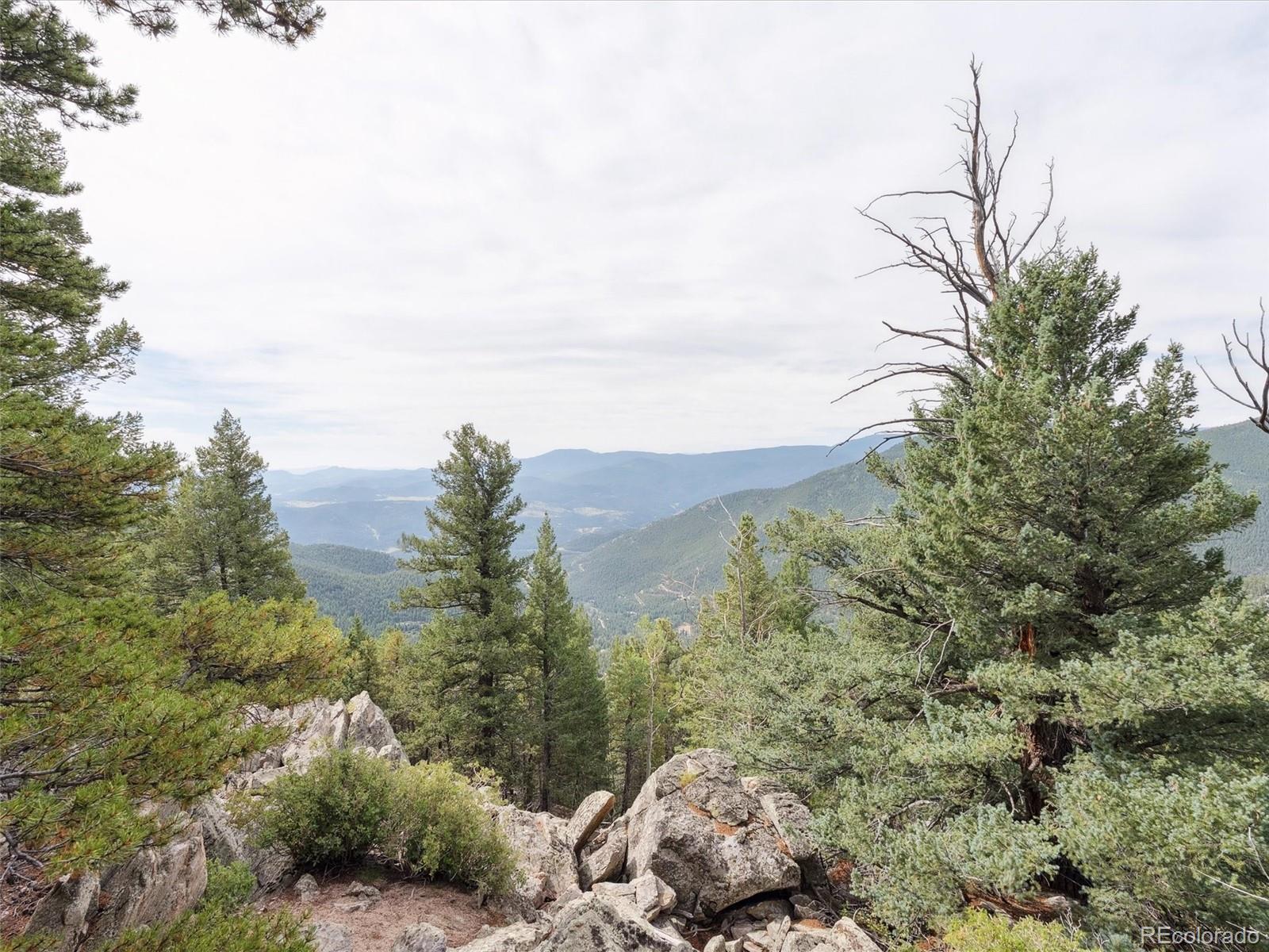 0 Snyder Mountain Road Evergreen, CO 80439 - Photo 41 of 46 a view of a city with lush green forest
