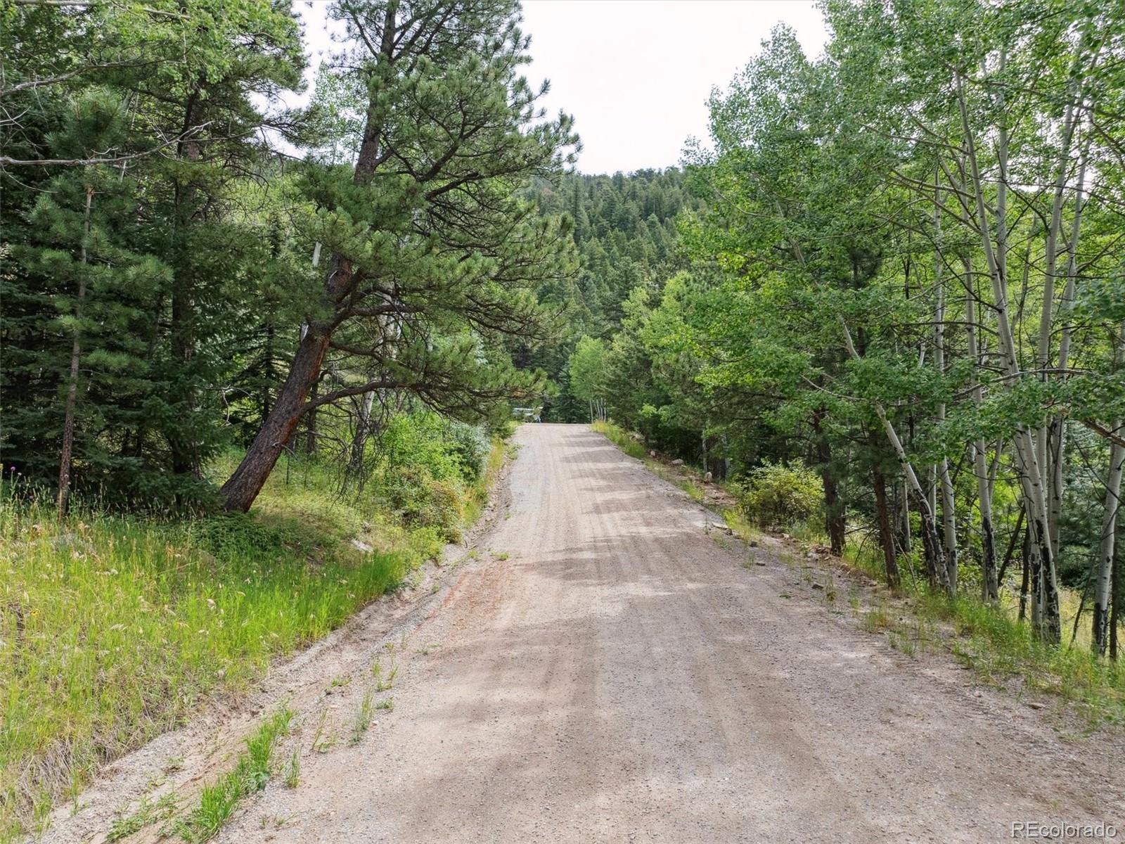 0 Snyder Mountain Road Evergreen, CO 80439 - Photo 42 of 46