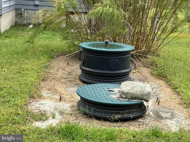 a view of a vase of flowers