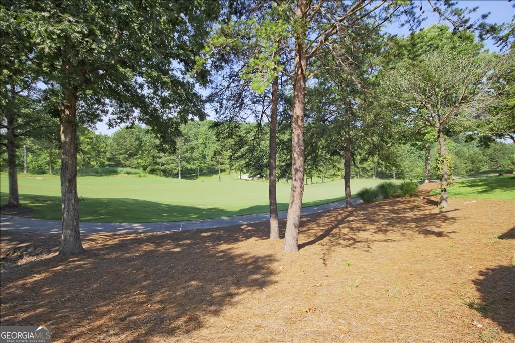 109 Coneflower Lane Toccoa, GA 30577 - Photo 36 of 49 a view of a road with a tree in the background