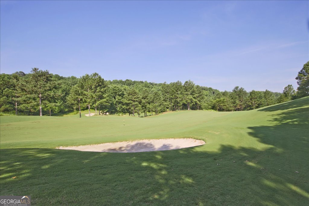 109 Coneflower Lane Toccoa, GA 30577 - Photo 37 of 49 a view of a green field with an ocean
