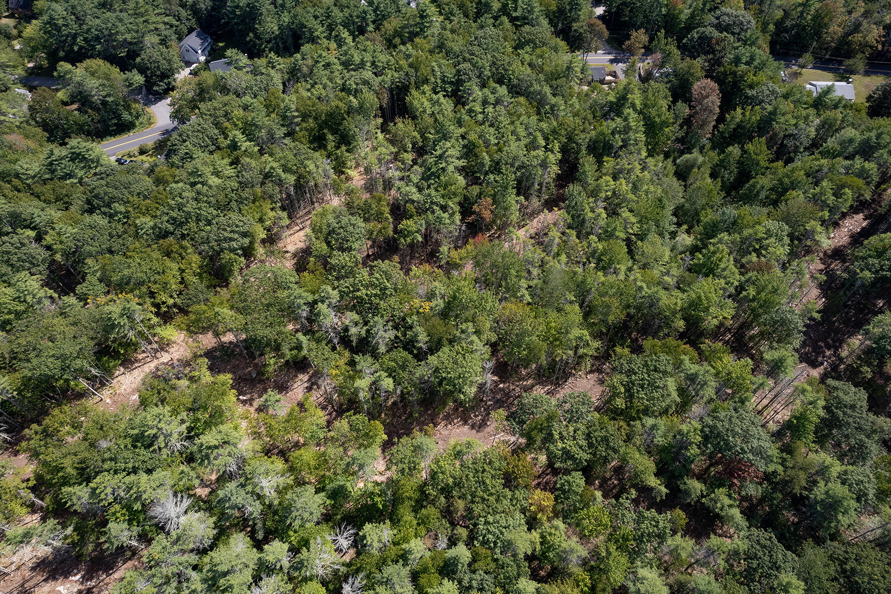 54 Logging Road York, ME 03902 - Photo 8 of 9 DJI_0623-Edit
