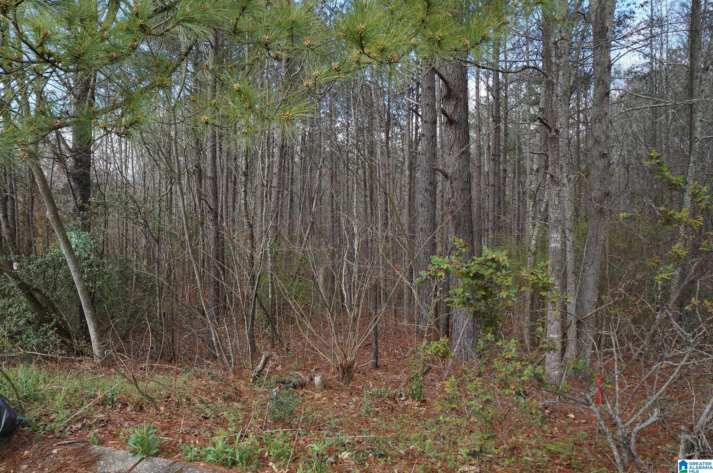 0 Pebble Point, Unit 6 Sylacauga, AL 35151 - Photo 4 of 8